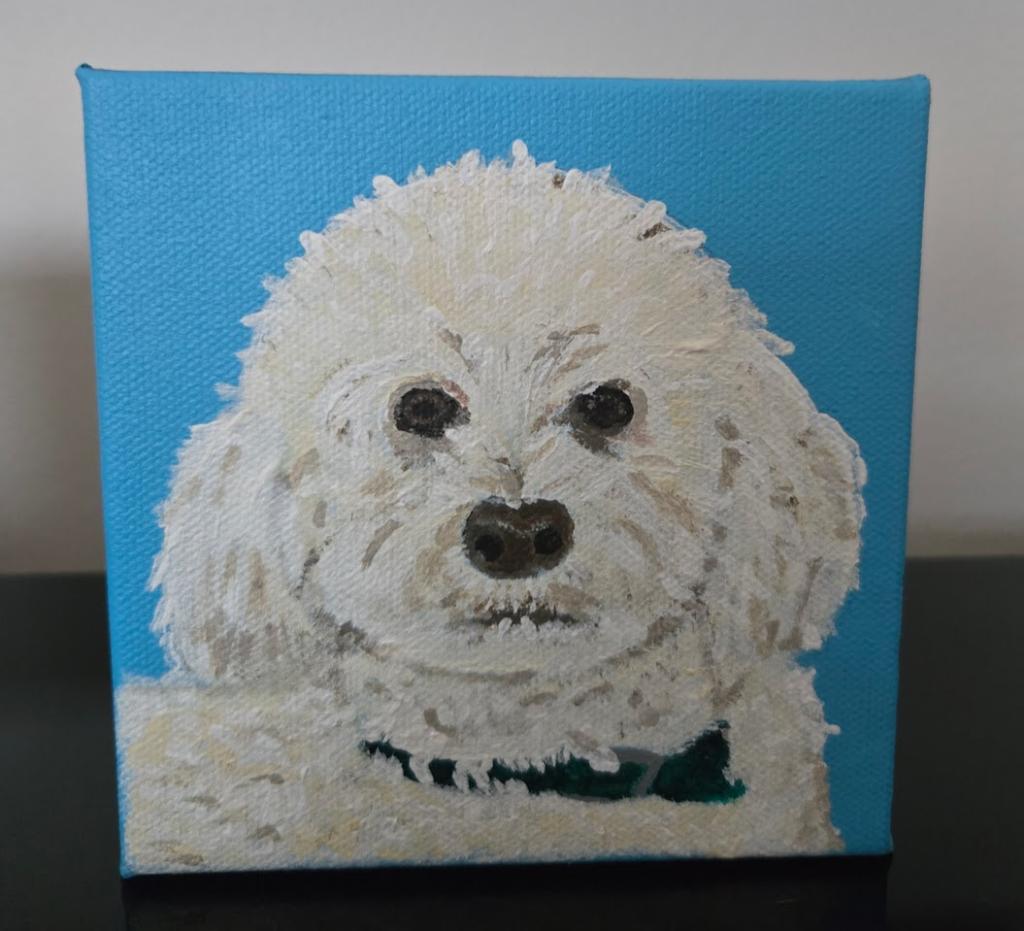 Custom pet portrait — white doodle on turquoise canvas