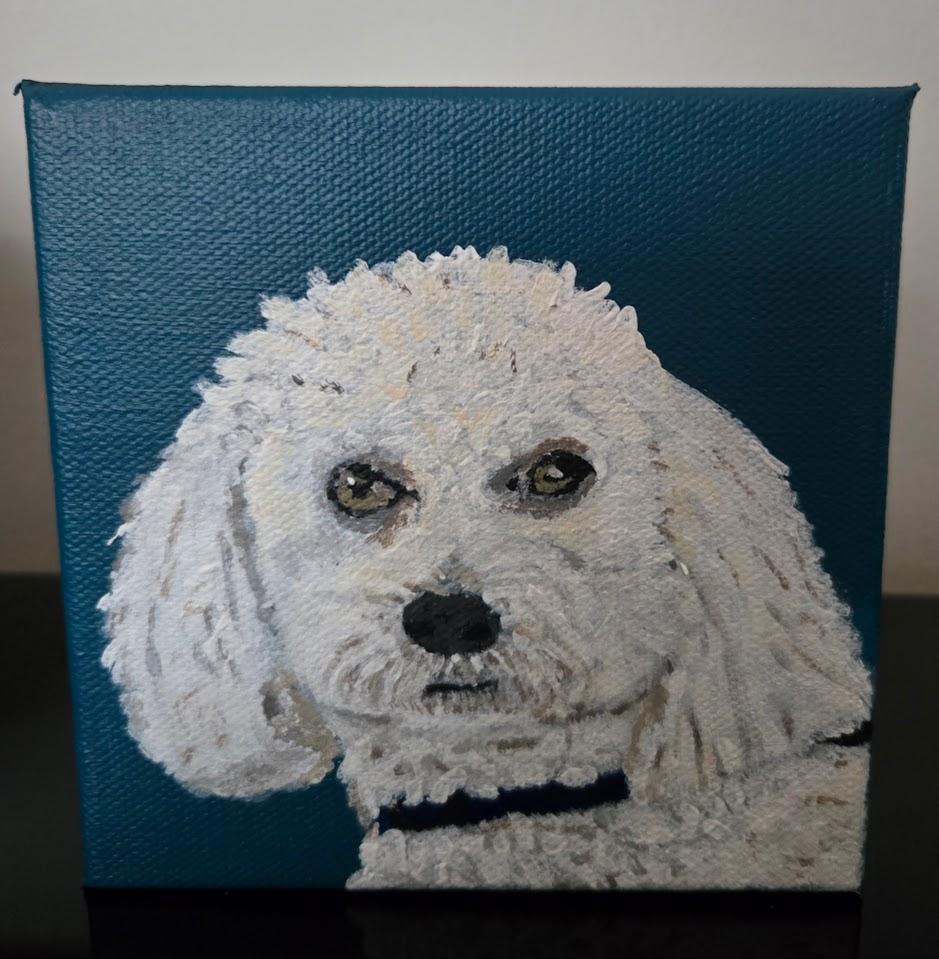 Custom pet portrait — white dog on teal canvas