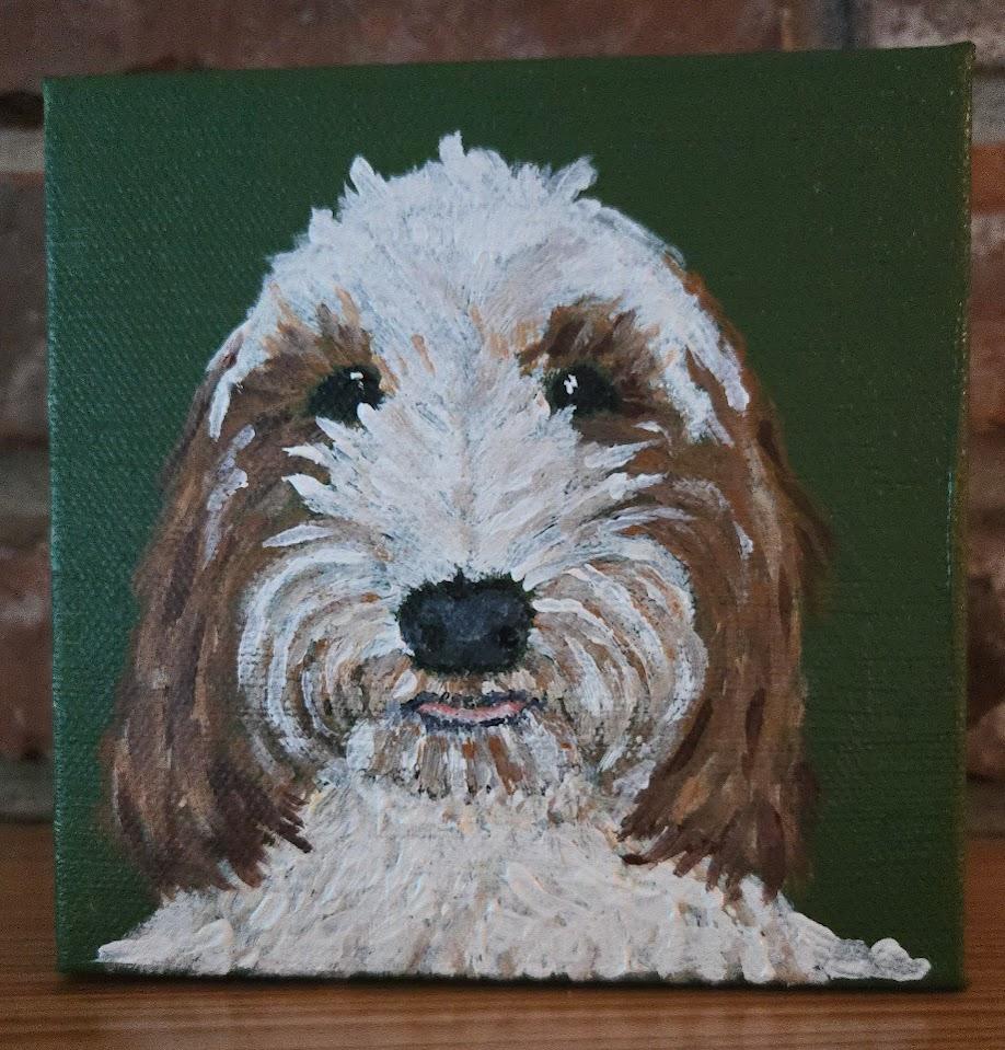 Custom pet portrait — fluffy doodle on green canvas