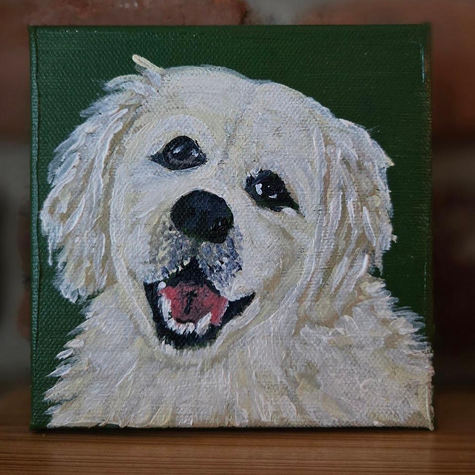 Custom pet portrait — white fluffy dog on green canvas