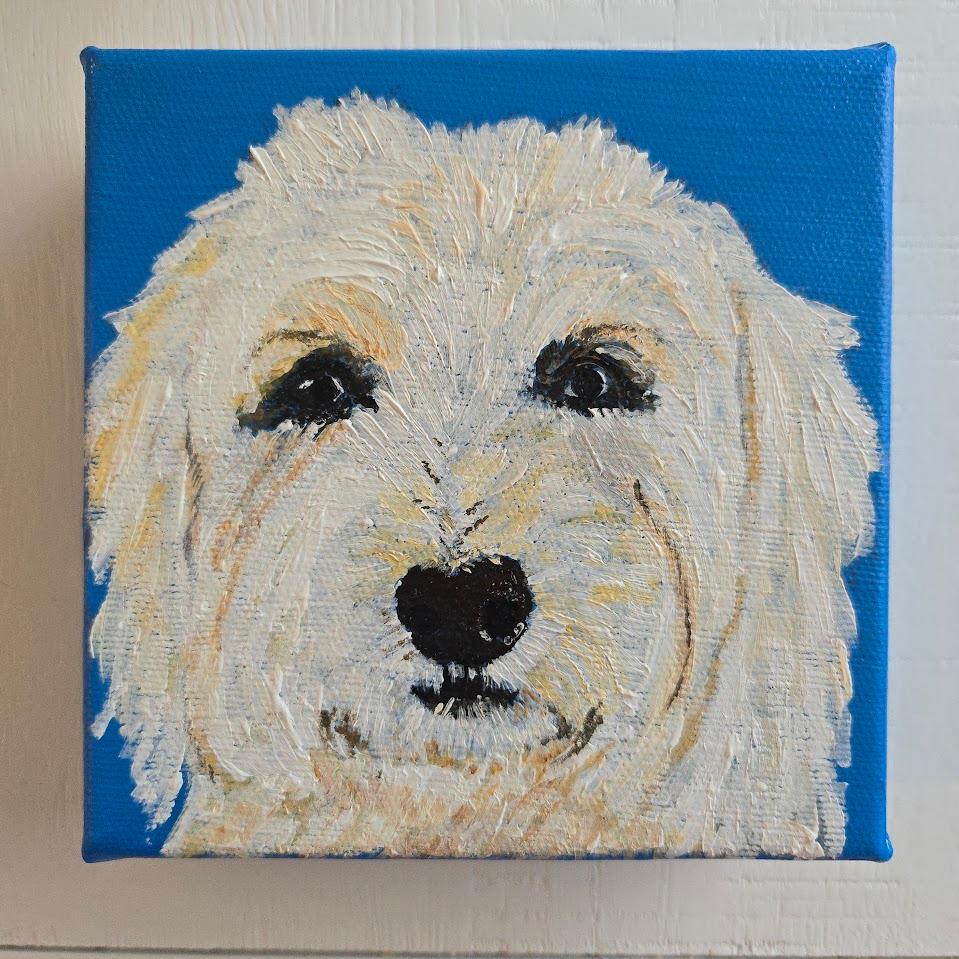 Custom pet portrait — white doodle on bright blue canvas